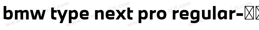 bmw type next pro regular字体转换
